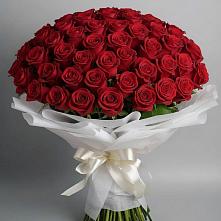 Букет 101 Красная роза Блэк Мэджик в Абадзехском