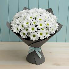 Букет цветов из:  Хризантемы #REPLACE_PRED# Абадзехском