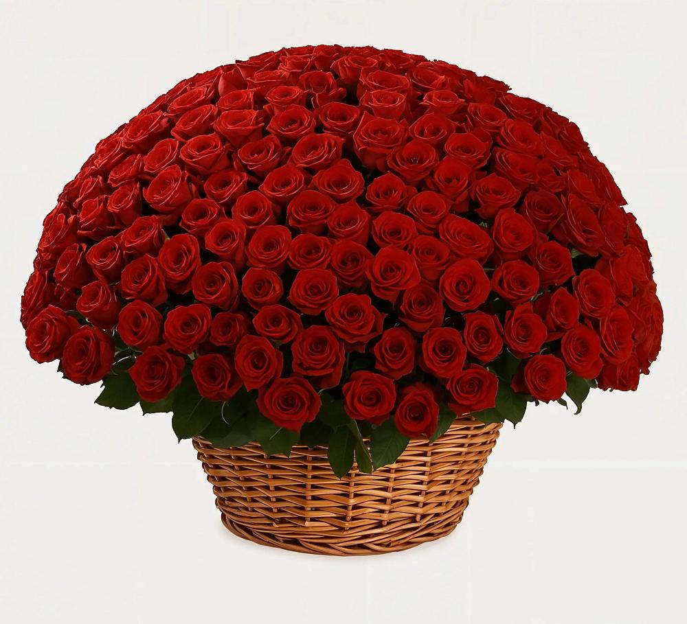 Премиум букет из: Розы в Абадзехском