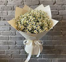 Букет цветов из:  Ромашки в Абадзехском