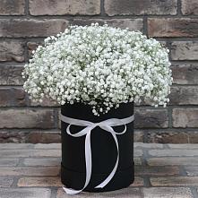 Цветочная композиция из Гипсофила в шляпной коробке в Абадзехском