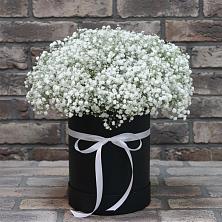 Цветочная композиция из Гипсофила в шляпной коробке в Абадзехском